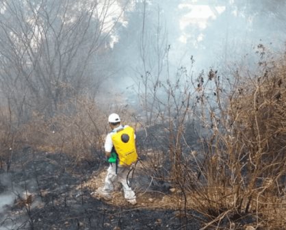Monitorean incendios forestales en Sinaloa, atenderán a víctimas de Concordia: Rocha