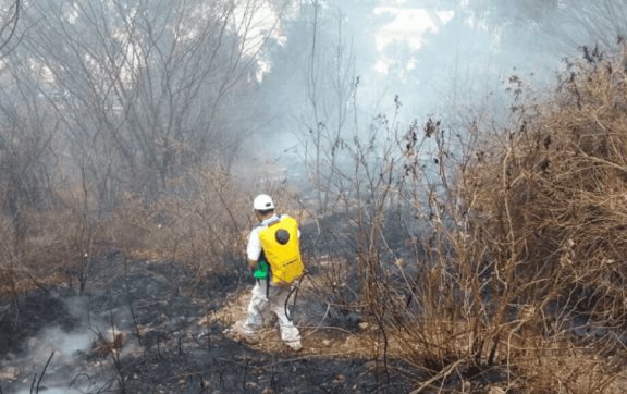 Monitorean incendios forestales en Sinaloa, atenderán a víctimas de Concordia: Rocha