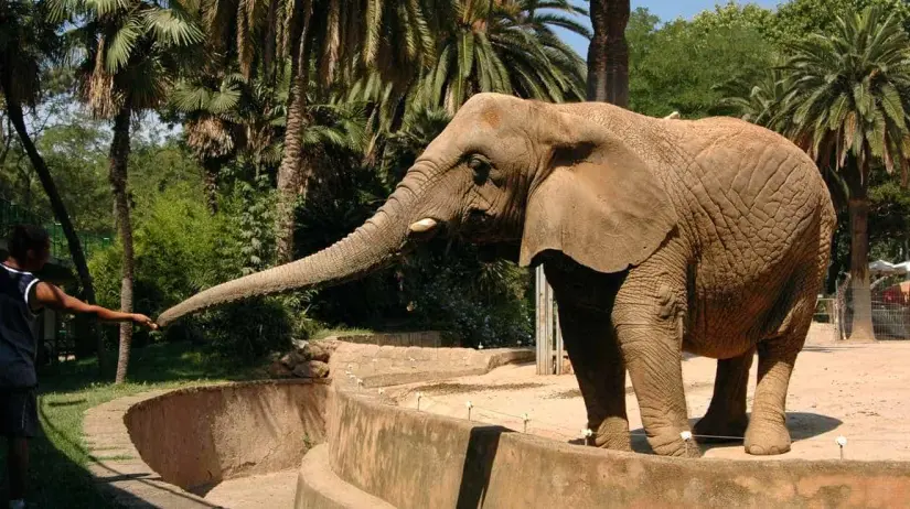 Zoológico de Chapultepec