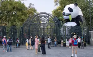 Zoológico de Chapultepec en CDMX; horarios y ubicación