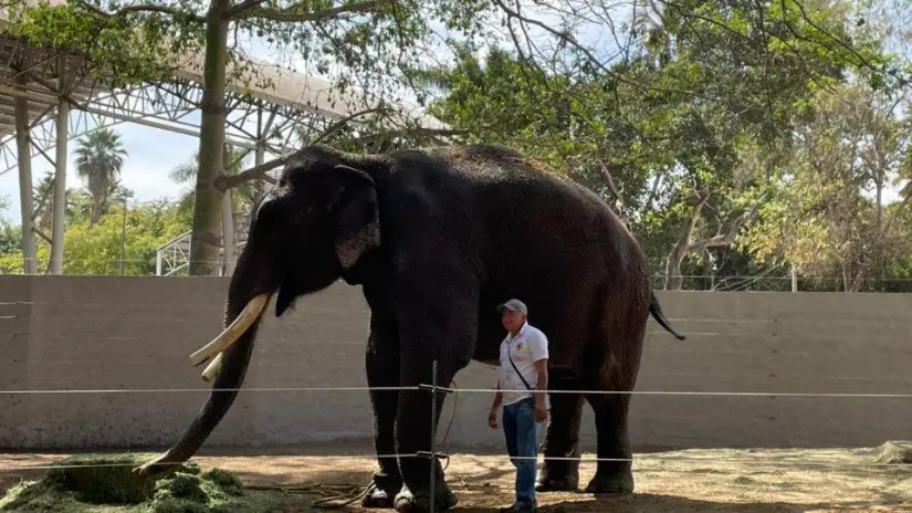 Zoológico de Culiacán horarios