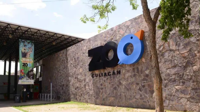 Los zoológicos nos enseñan la importancia de preservar la vida de los animales. Foto: Gob. de Culiacán