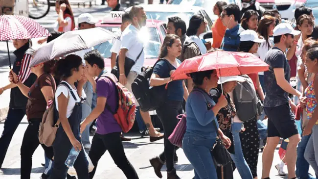 Calor en CDMX. Foto Gaceta UNAM