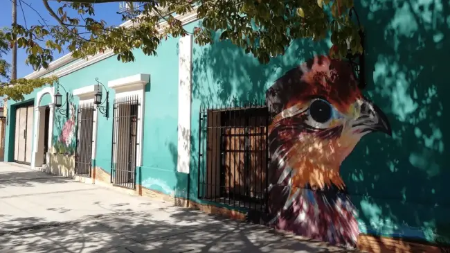 Cócorit, Sonora es el pueblo con alas. Foto Cultura Colectiva