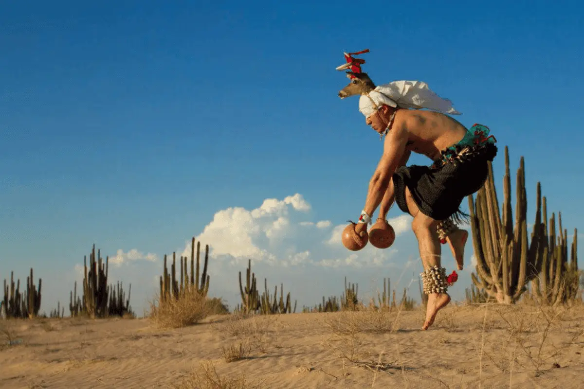 Danza del Venado de Sonora y Sinaloa. Foto David Figueroa Ortega