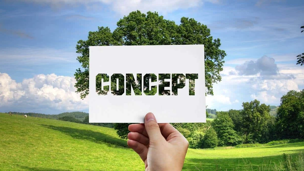 Ideas de negocios ecológicos o ecofriendly. Foto Pixabay