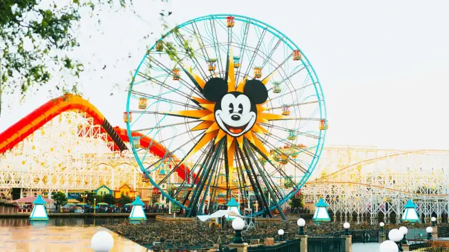 Disneyland.