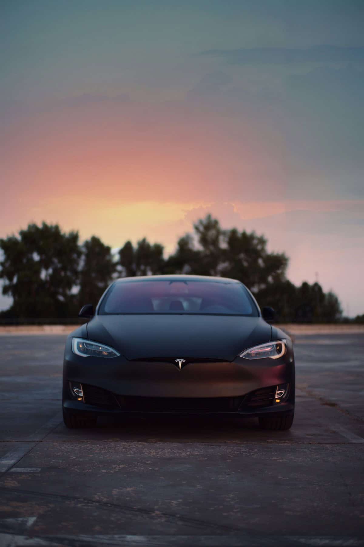 Tesla Model S en color negro | Imagen: Dmitry Novikov 