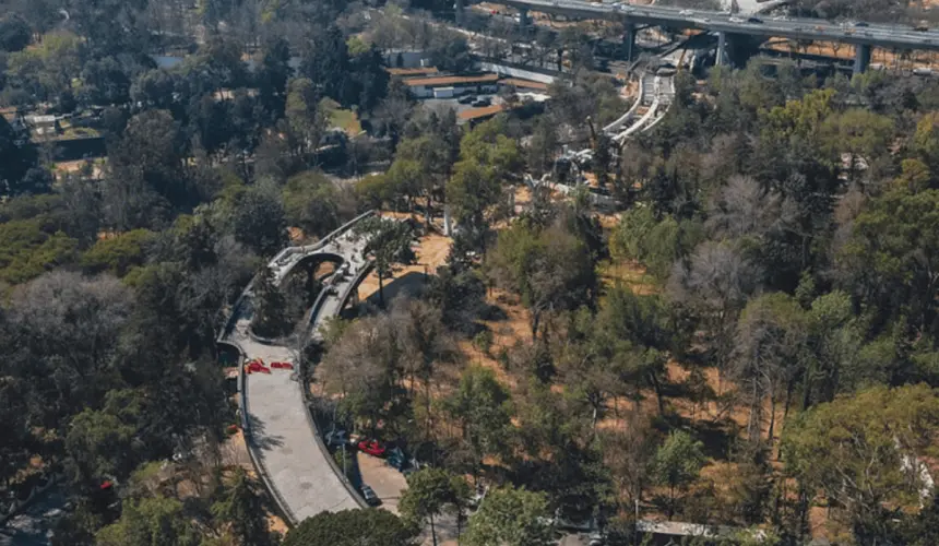 Calzada peatonal Chivatito. Foto Bosque de Chapultepec