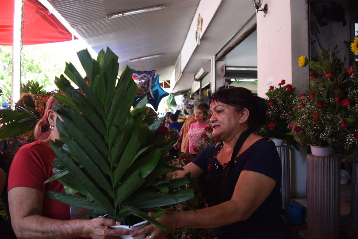 La venta de flores trae satisfacción a Lula.