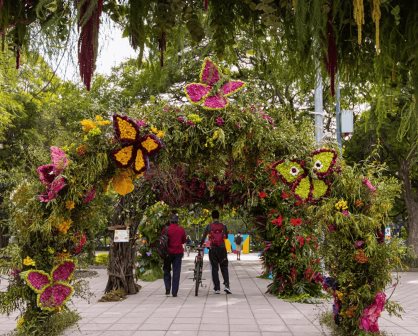 Celebra el Día del Niño con en el Festival Flores y Jardines en CDMX