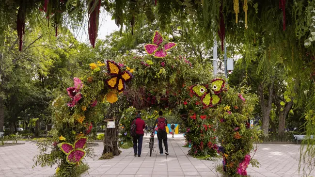 ¡No te pierdas el Festival de Flores y Jardines!