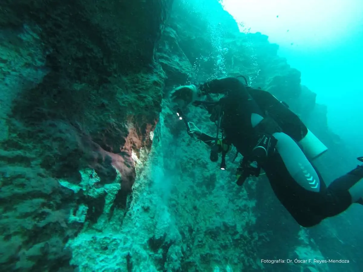 Agujero azul en la bahía de Chetumal, Quintana Roo