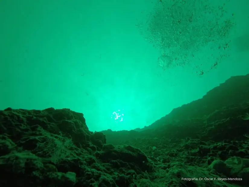 Agujero azul en la bahía de Chetumal, Quintana Roo