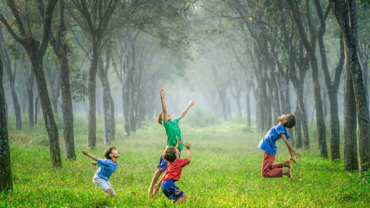 Niños se divierten jugando a la pelota en un bosque.