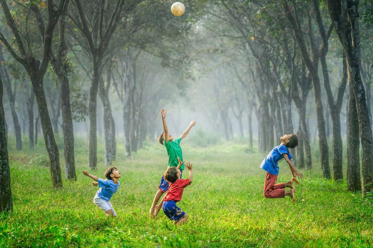 Niños se divierten jugando a la pelota en un bosque.