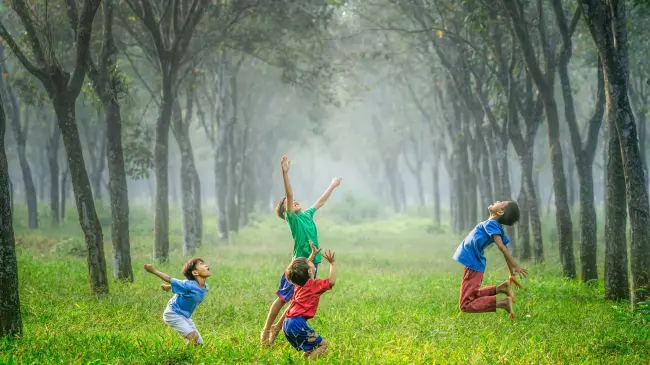 Niños se divierten jugando a la pelota en un bosque.