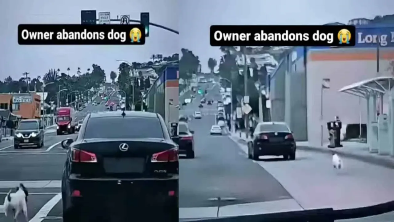 El video fue grabado en California | Imagen: Internet