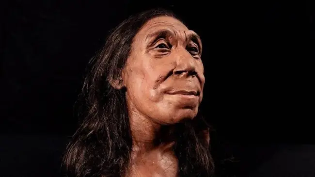 Los restos pertenecen a mujer neandertal de 75.000 años de edad, llamada Shanidar Z. Foto: BBC