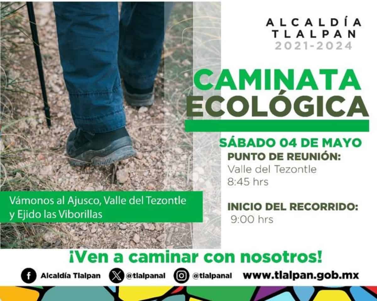 Invitan a la Caminata Ecológica en Tlalpan para disfrutar de la naturaleza