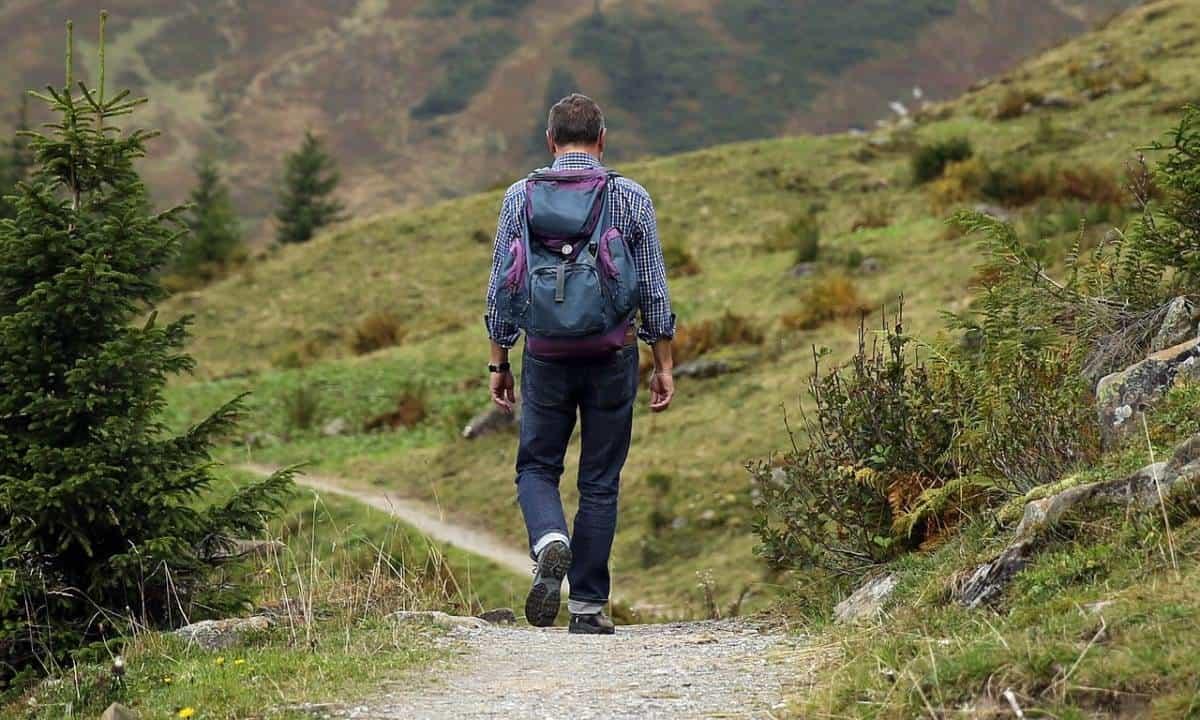 La Caminata Ecológica en Tlalpan te permitirá conectar con la naturaleza. Foto: Pixabay
