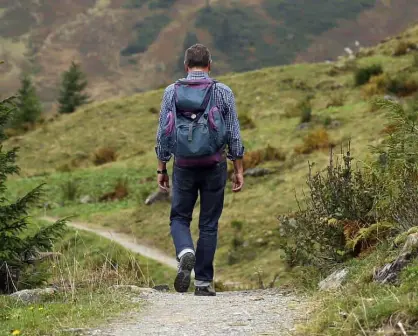 Invitan a la Caminata Ecológica en Tlalpan para disfrutar de la naturaleza; ¿cuándo y dónde será?