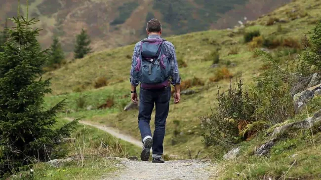 La Caminata Ecológica en Tlalpan te permitirá conectar con la naturaleza. Foto: Pixabay