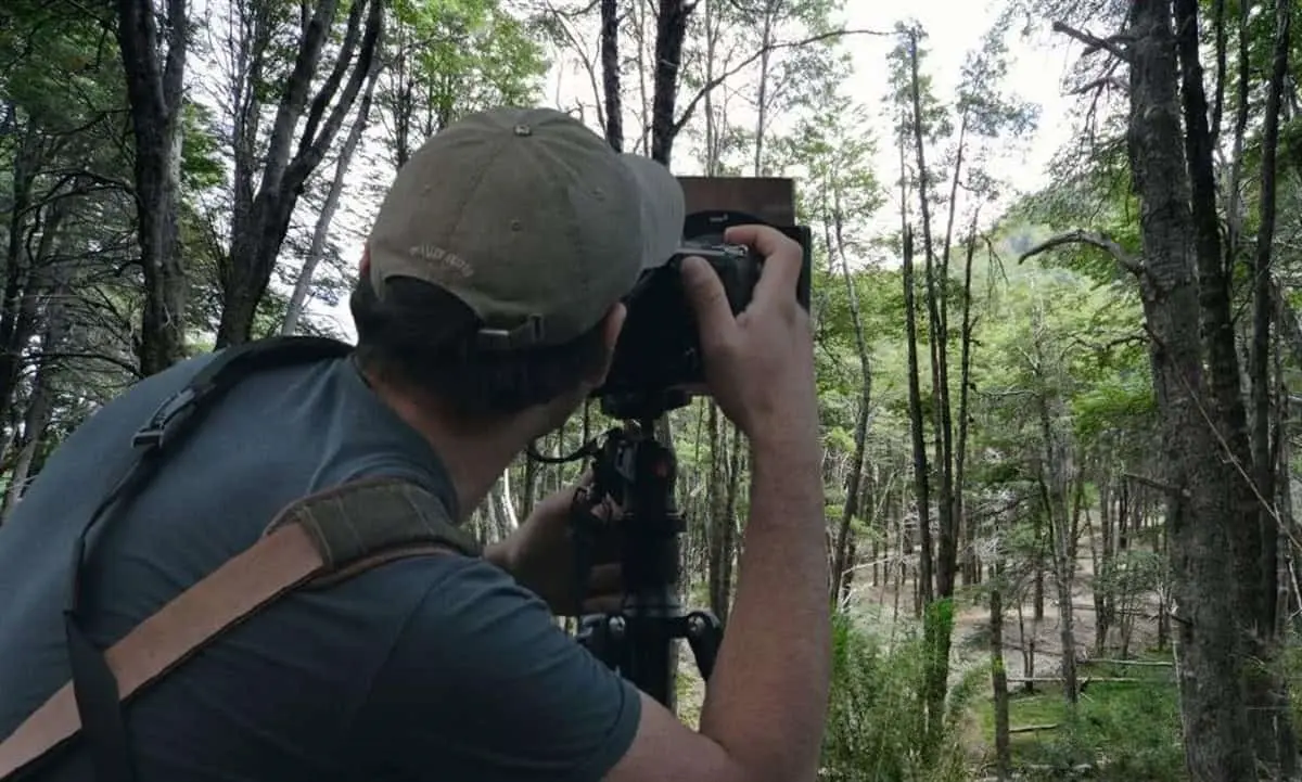 Día Mundial de la Libertad de Prensa. Periodismo en favor del ambiente