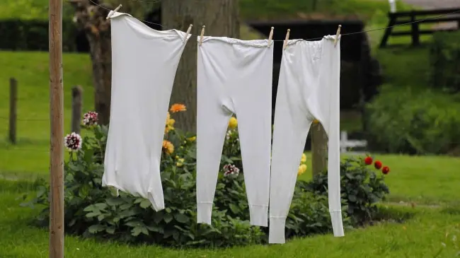 Cuál es la marca detergente en polvo, que es efectivo y económico. Foto: Pixabay
