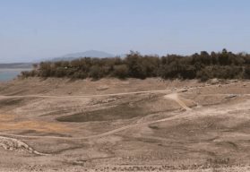 Conselva analiza la sequía de Sinaloa en una línea de propuestas de solución