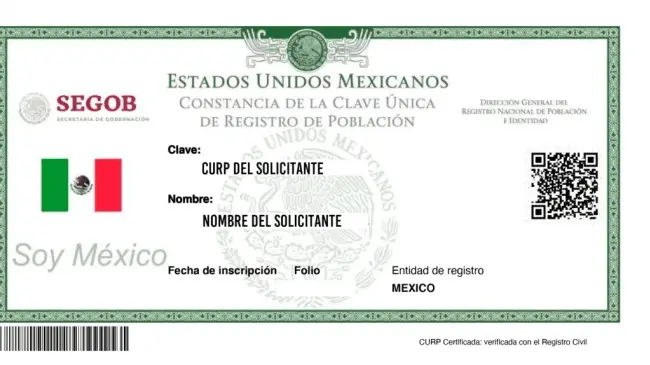 Aquí te enseñamos paso a paso a sacar tus documentos. Foto: Captura de pantalla