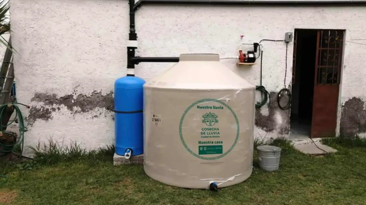 Cosechar el agua de la lluvia. Foto Sedema