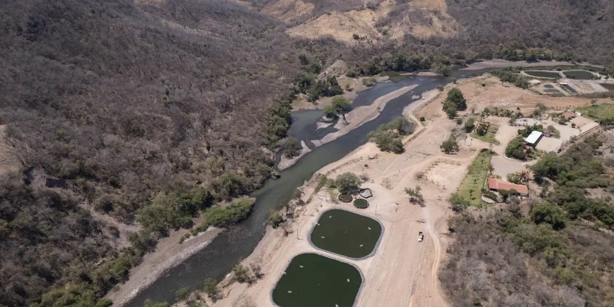 Escasez de agua en Sinaloa, soluciones en la naturaleza