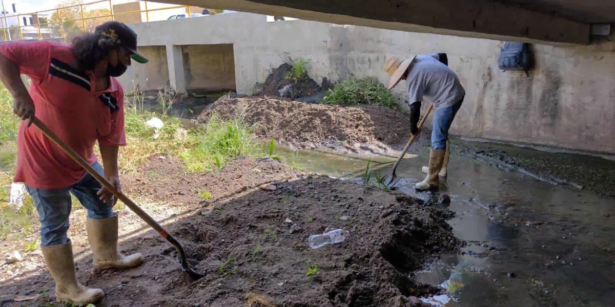 En Mazatlán se ha puesto en marcha un intenso programa de limpieza y desazolve de canales y arroyo para evitar inundaciones.