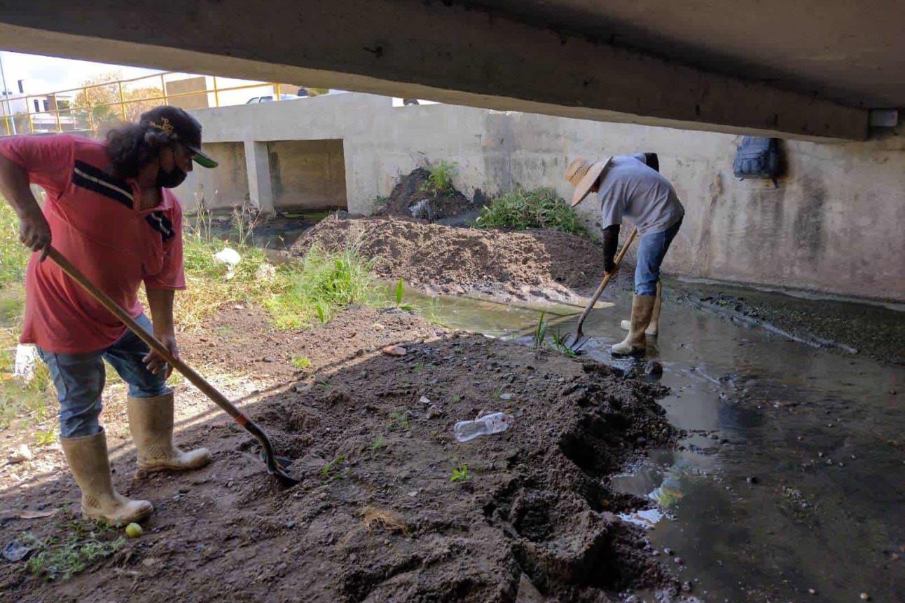 En Mazatlán se ha puesto en marcha un intenso programa de limpieza y desazolve de canales y arroyo para evitar inundaciones.