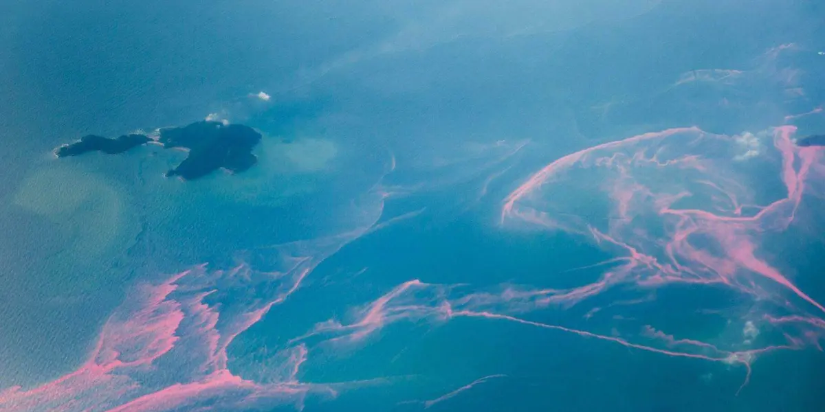 También explicaremos que podemos hacer para combatir las mareas rojas. Foto: National Geographic