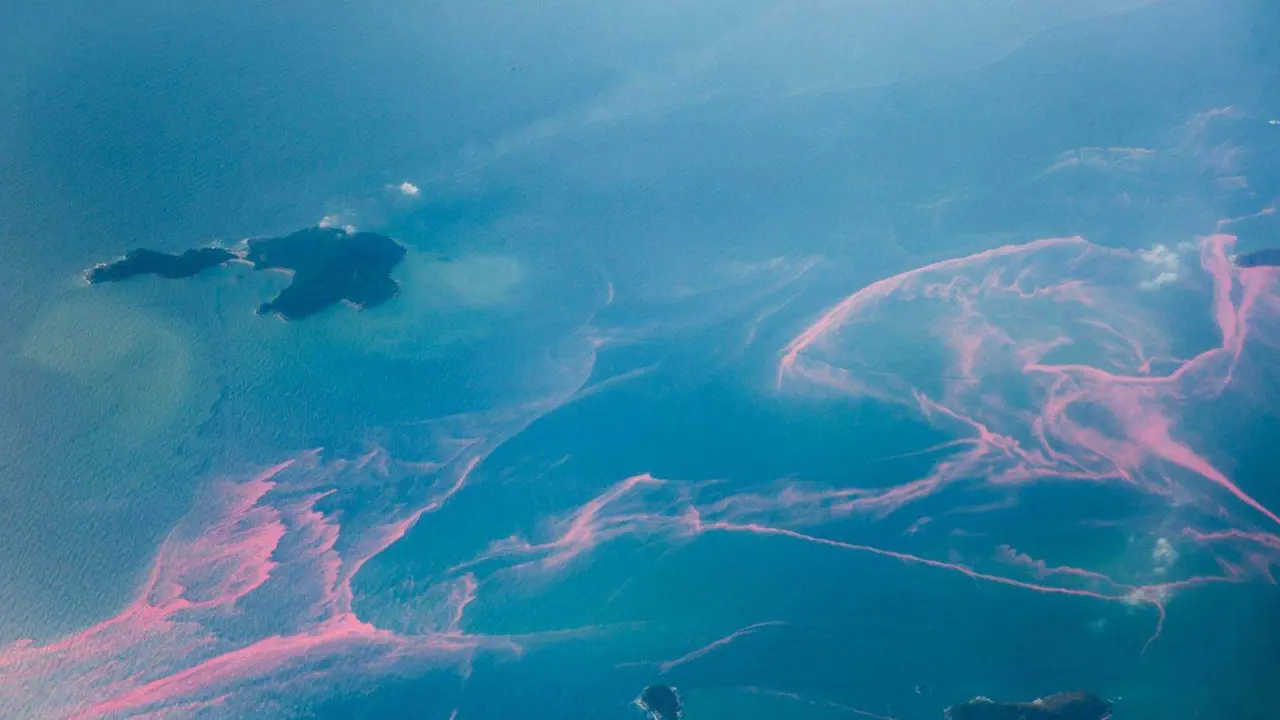 También explicaremos que podemos hacer para combatir las mareas rojas. Foto: National Geographic