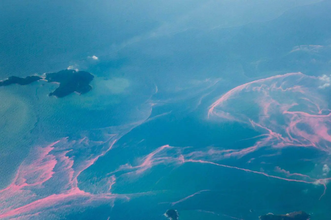 También explicaremos que podemos hacer para combatir las mareas rojas. Foto: National Geographic