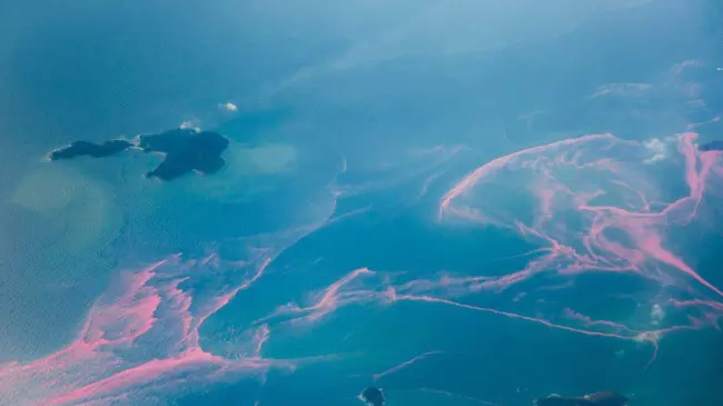 También explicaremos que podemos hacer para combatir las mareas rojas. Foto: National Geographic