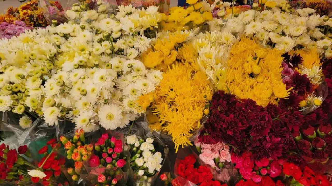 Ayuntamientos de Guasave y Ahome, revelan la lista de precios oficial para las flores para el Día de las Madres 2024. Foto: Cortesía