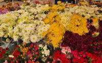 Precios de las flores en Guasave y Ahome para el Día de las Madres; no habrá aumentos