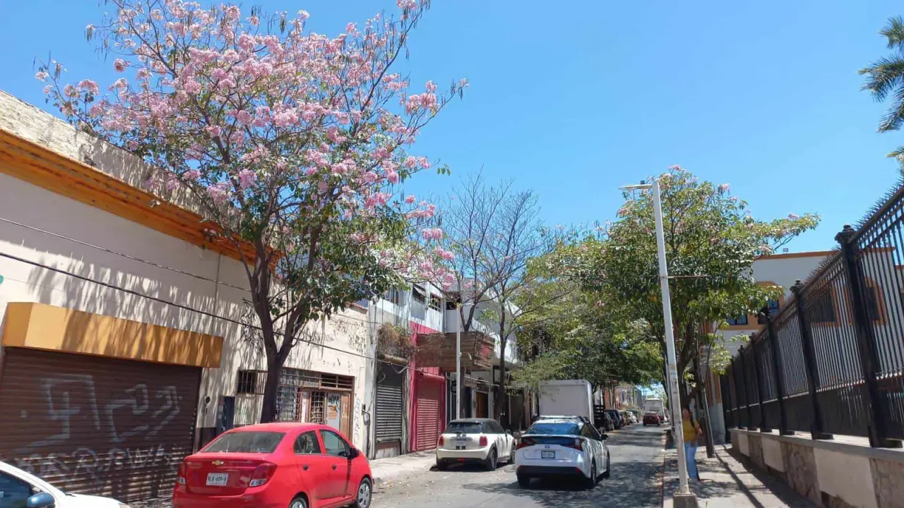 Clima en Sinaloa. Culiacán con temperaturas extremas.