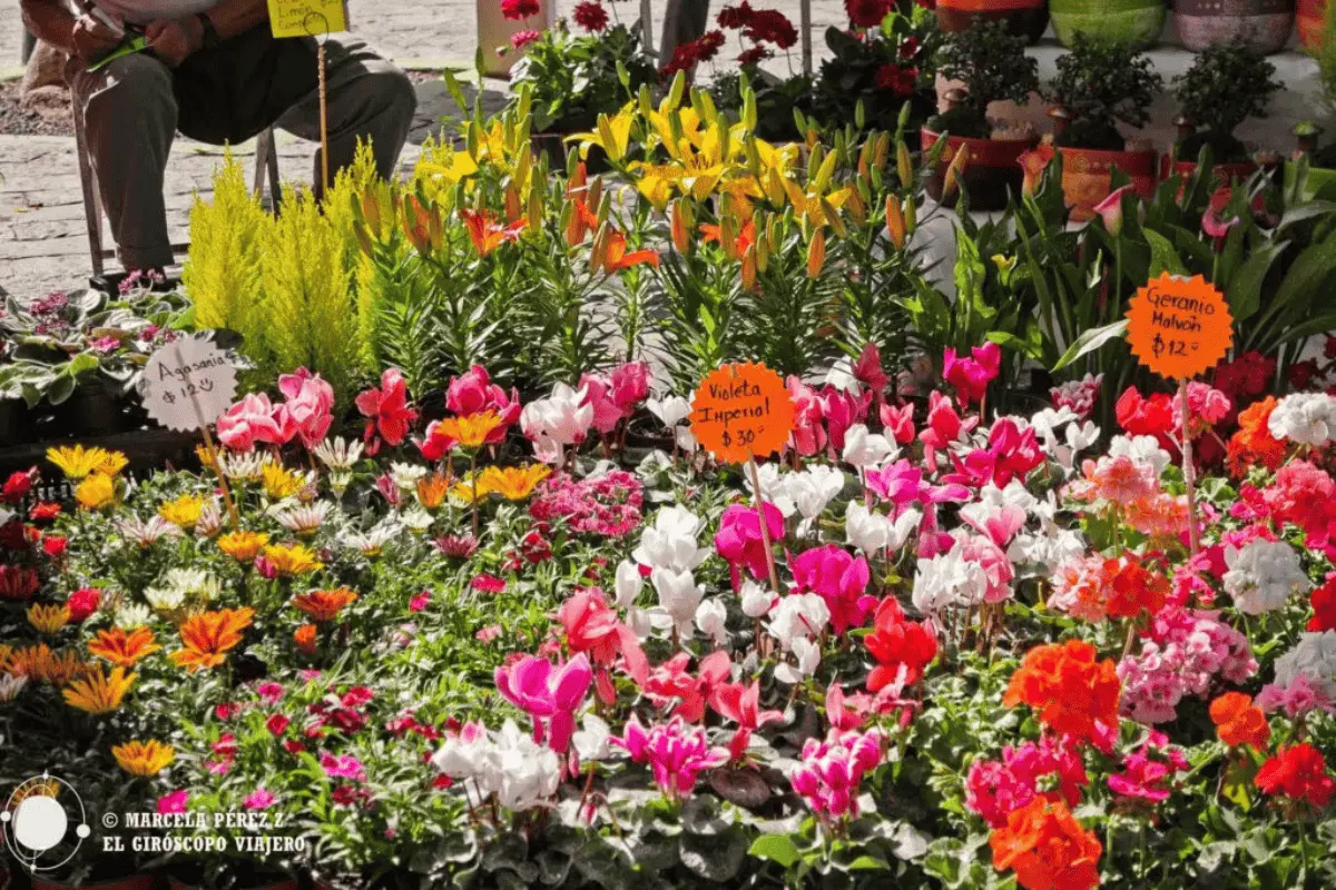 Venta de flores para el Día de las Madres en Atlixco, Puebla. Foto Gobierno de Puebla