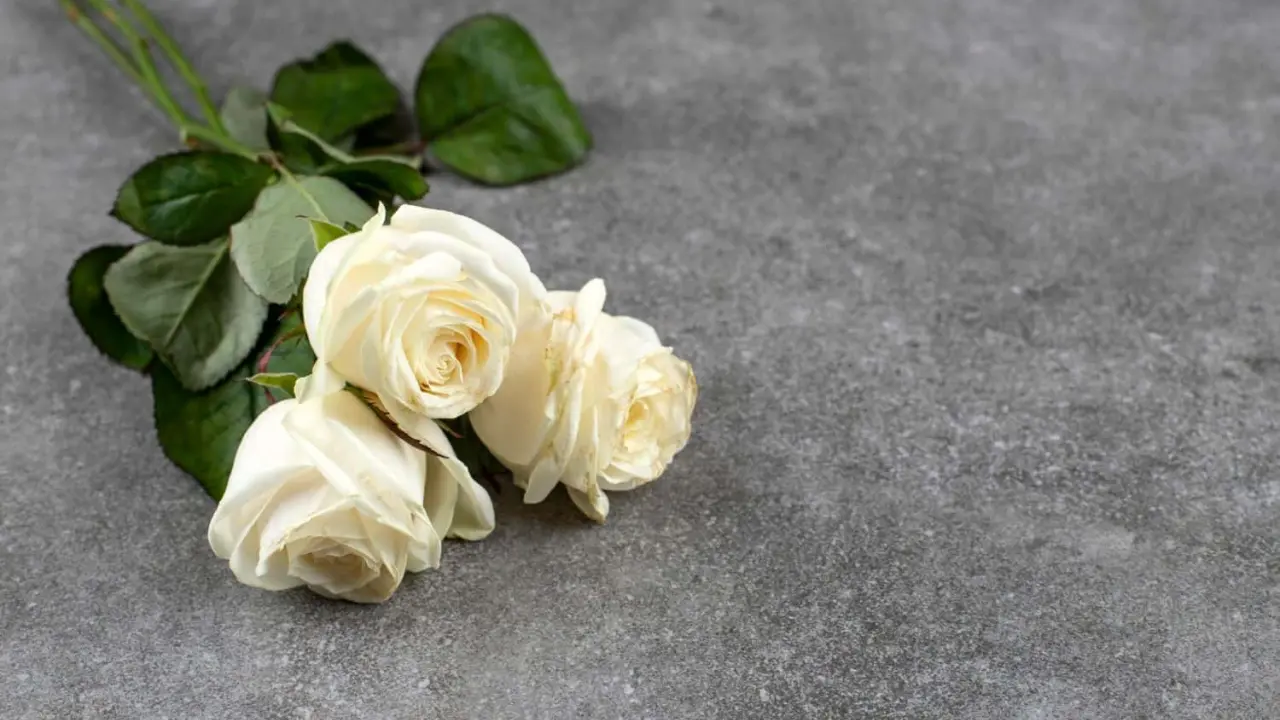 Mensajes para mantener vivo el recuerdo de tu estrella favorita, este Día de las Madres. Foto: Pixabay