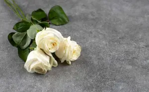 Feliz Día de las Madres hasta el cielo; frases para recordar a mamá que ya no está