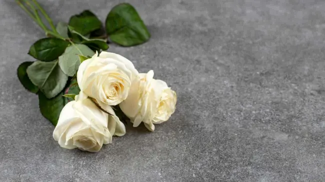 Mensajes para mantener vivo el recuerdo de tu estrella favorita, este Día de las Madres. Foto: Pixabay