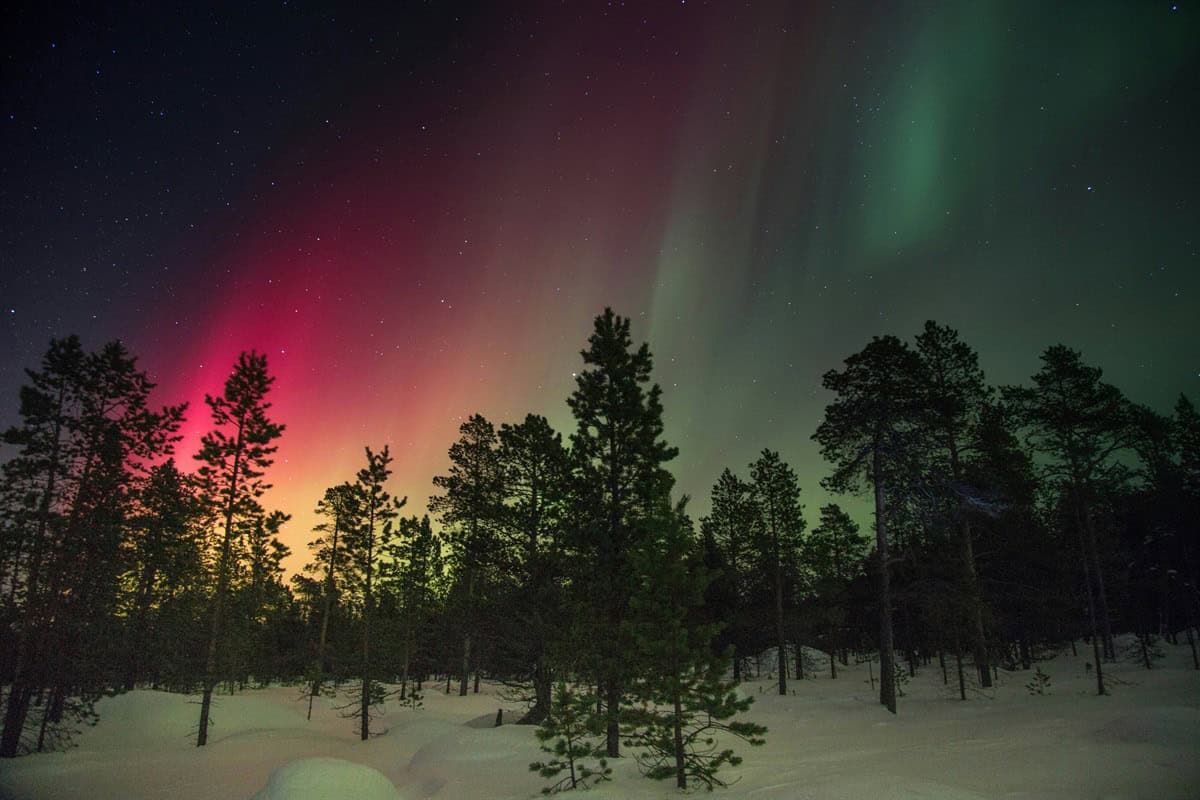 Las auroras boreales son uno de los fenómenos solares más hermosos | Imagen: Nelly Volkovich 