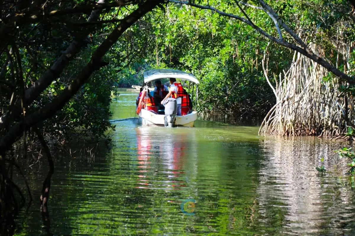 ¿Cuánto cuesta viajar de CDMX a Tecolutla?