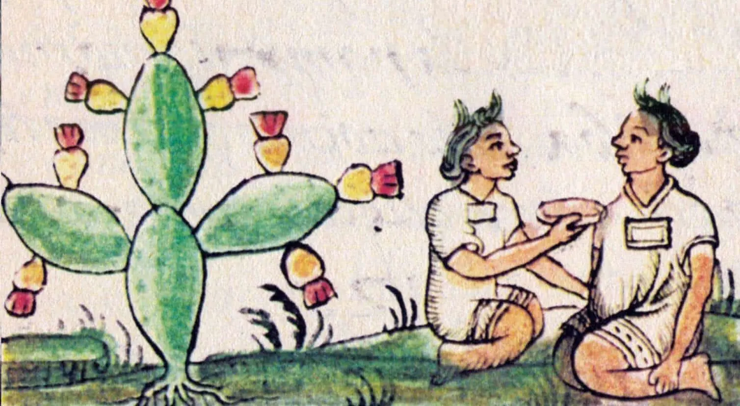 Descubre el fruto de los aztecas que es útil contra diabetes