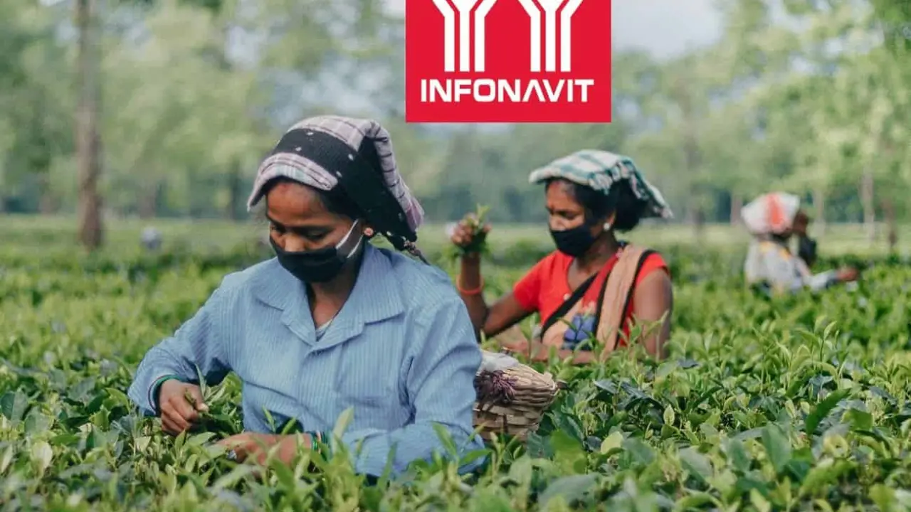 Cómo solicitar un crédito Infonavit si eres trabajador independiente y migrante.